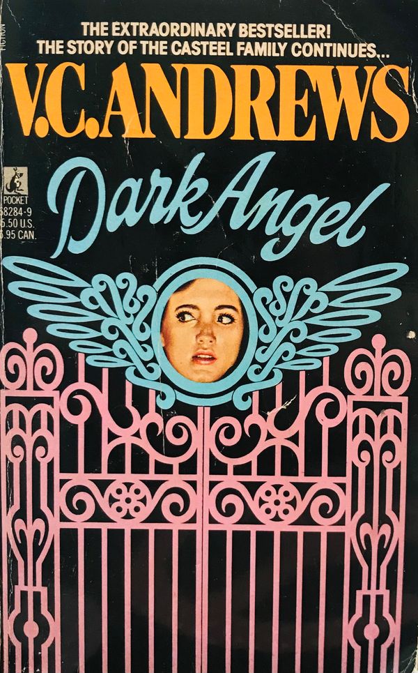 Dark Angel by V.C. Andrews